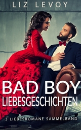 Bad Boy Liebesgeschichten - Liz Levoy