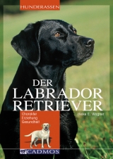 Labrador Retriever - Heike E Wagner