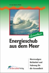 Energieschub aus dem Meer - Probst, Karel J.