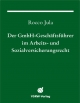Der GmbH-Geschäftsführer im Arbeits- und Sozialversicherungsrecht (GmbH-Fachbuch)