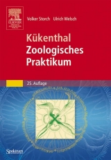 Kükenthal - Zoologisches Praktikum - Storch, Volker; Welsch, Ulrich