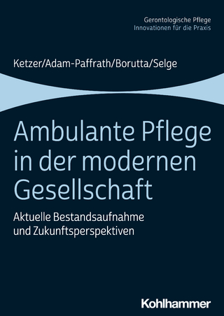Ambulante Pflege in der modernen Gesellschaft - Ruth Ketzer; Renate Adam-Paffrath; Manfred Borutta …