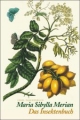 Das Insektenbuch: Metamorphosis Insectorum Surinamensium (insel taschenbuch)