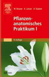 Pflanzenanatomisches Praktikum I - Braune, Wolfram; Leman, Alfred; Taubert, Hans