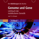 Die Abbildungen des Buches "Genome und Gene" - T. A. Brown