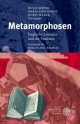 Metamorphosen: Englische Literatur und die Tradition: Englische Literatur und die Tradition. Festschrift für Wolfgang Riehle (Anglistische Forschungen)