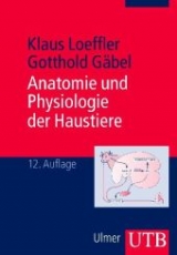 Anatomie und Physiologie der Haustiere - Klaus Loeffler, Gotthold Gäbel