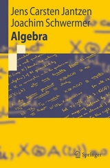 Algebra - Jens Carsten Jantzen, Joachim Schwermer