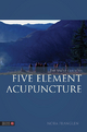 Simple Guide to Five Element Acupuncture