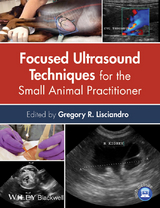 Focused Ultrasound Techniques for the Small Animal Practitioner - 