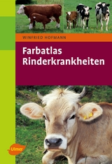 Rinderkrankheiten - Winfried Hofmann