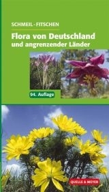 Flora von Deutschland und angrenzender Länder - Otto Schmeil, Jost Fitschen
