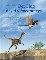Der Flug des Archaeopteryx - Ludger Bollen