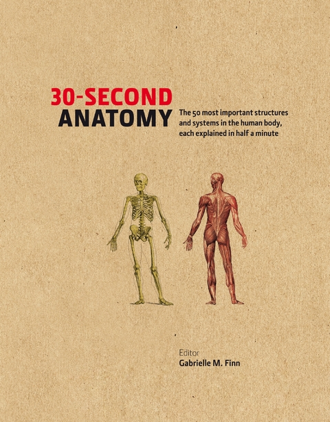 30-Second Anatomy - 