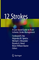 12 Strokes - 