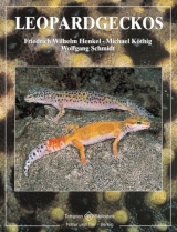 Leopardgeckos - Friedrich W Henkel, Michael Knöthig, Wolfgang Schmidt