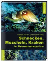 Schnecken, Muscheln, Kraken im Meerwasseraquarium - Joachim Frische, Herbert Finck