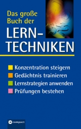 Das grosse Buch der Lerntechniken - Bettina Geuenich, Iris Hammelmann, Harald Havas, Belen-Mercedes Mündemann, Kaja Novak, Andrea Solms