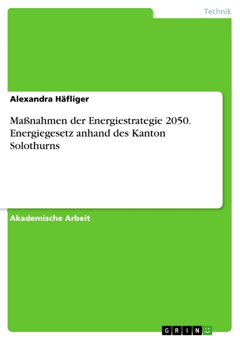 Maßnahmen der Energiestrategie 2050. Energiegesetz anhand des Kanton Solothurns - Alexandra Häfliger