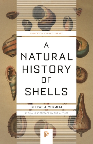 A Natural History of Shells - Geerat J. Vermeij
