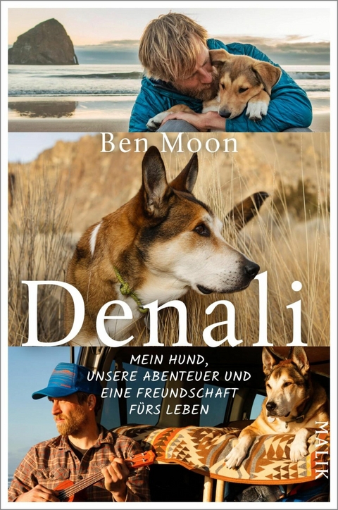 Denali -  BEN MOON