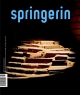 springerin. Hefte für Gegenwartskunst / Kollektive Amnesien: BD 4/5-1/2006