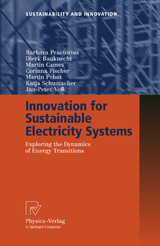 Innovation for Sustainable Electricity Systems - Barbara Praetorius, Dierk Bauknecht, Martin Cames, Corinna Fischer, Martin Pehnt, Katja Schumacher, Jan-Peter Voß