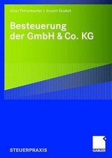 Besteuerung der GmbH & Co. KG - Oliver Fehrenbacher, Anusch Tavakoli