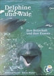 Delphine und Wale: Ihre Botschaft und Ihre Essenz
