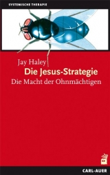 Die Jesus-Strategie - Haley, Jay