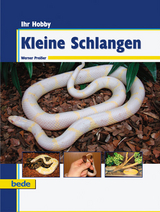 Ihr Hobby Kleine Schlangen - Werner Preißer