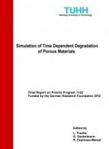 Simulation of Time Dependent Degradation of Porous Materials - 