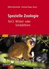 Spezielle Zoologie. Teil 2: Wirbel- oder Schädeltiere - Westheide, Wilfried; Rieger, Gunde