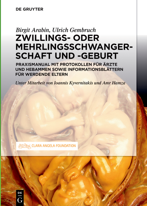Schwangerschaft, Geburt und Wochenbett von Zwillingen und höhergradigen Mehrlingen -  Birgit Arabin,  Ulrich Gembruch