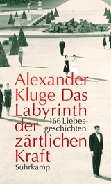 Das Labyrinth der zärtlichen Kraft - Alexander Kluge