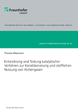 Entwicklung und Testung katalytischer Verfahren zur Konditionierung und stofflichen Nutzung von Hüttengasen - Thomas Wiesmann
