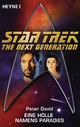 Star Trek - The Next Generation: Eine Hölle namens Paradies: Roman Peter David Author