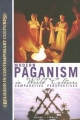 Modern Paganism in World Cultures - Michael F. Strmiska