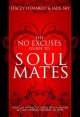No Excuses Guide to Soul Mates