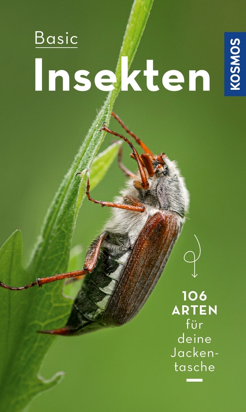 BASIC Insekten - Roland Gerstmeier
