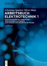 Gleichstromnetze, Operationsverstärkerschaltungen, elektrische und magnetische Felder -  Christian Spieker,  Oliver Haas