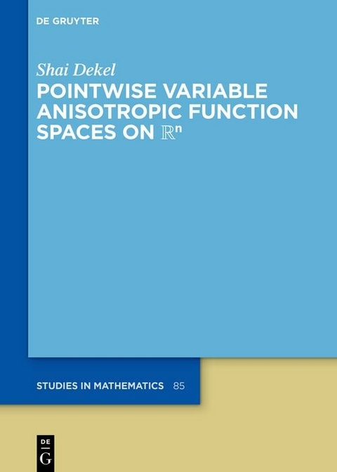 Pointwise Variable Anisotropic Function Spaces on ?? -  Shai Dekel