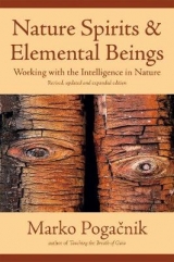 Nature Spirits & Elemental Beings - Marko Pogacnik