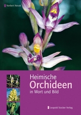 Heimische Orchideen in Wort und Bild - Norbert Novak