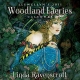 Llewellyn's 2011 Woodland Faery Calendar - Linda Ravenscroft