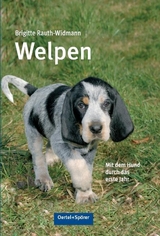 Welpen - Brigitte Rauth-Widmann