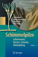 Schimmelpilze - Kück, Ulrich; Reiß, Jürgen; Nowrousian, Minou; Hoff, Birgit; Engh, Ines