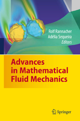 Advances in Mathematical Fluid Mechanics - 