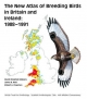The New Breeding Atlas of Breeding Birds in Britain and Ireland, 1988-1991 - David Wingfield Gibbons; James B. Reid; Robert A. Chapman