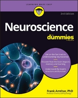 Neuroscience For Dummies -  Frank Amthor